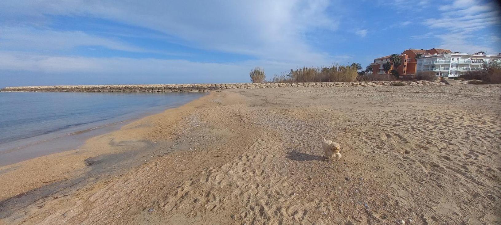 Beach View - Primera Linea Lujo Apartment Denia Bagian luar foto